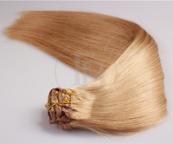 Ash Blonde #18 Clip in Remy Human Hair Extensions 