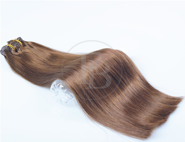 Chocolate Brown #4 Hair Extensions Clip on 