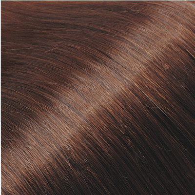 Chestnut Brown #6 Buy Clip in Hair Extensions 