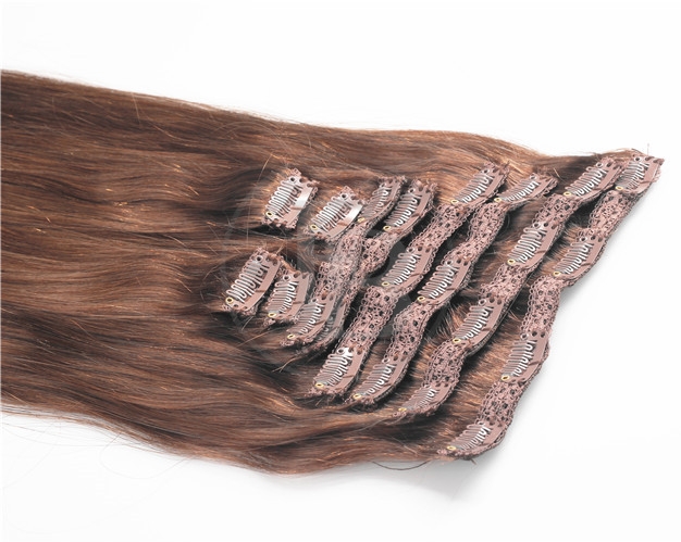 Chestnut Brown #6 Buy Clip in Hair Extensions 