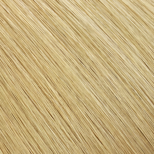 #24 Blonde tape in hair extension 