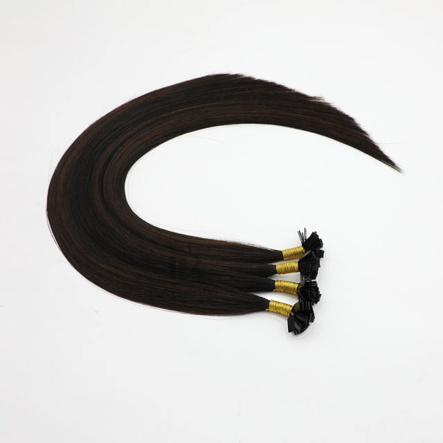 #T1b-1b/3-FB001  Winter Shade 2023 Flat tip Hair